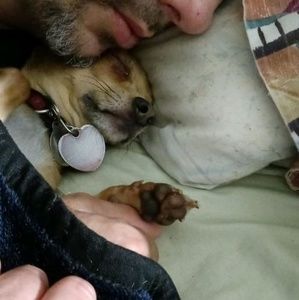 Meet your Posher, Bill